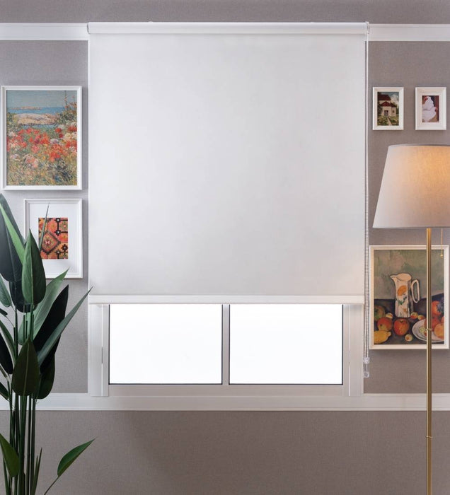 Bojan Blackout Roller Blinds