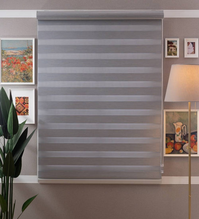 Designer Blackout Zebra Blinds