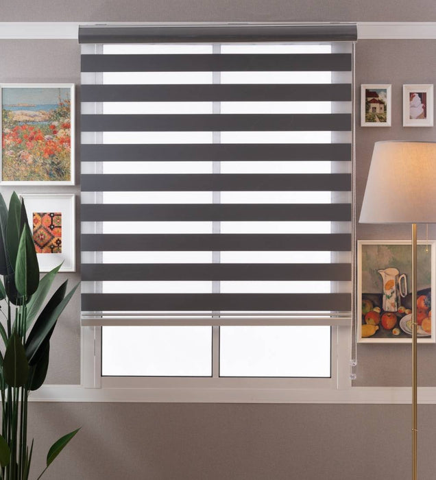 Designer Blackout Zebra Blinds