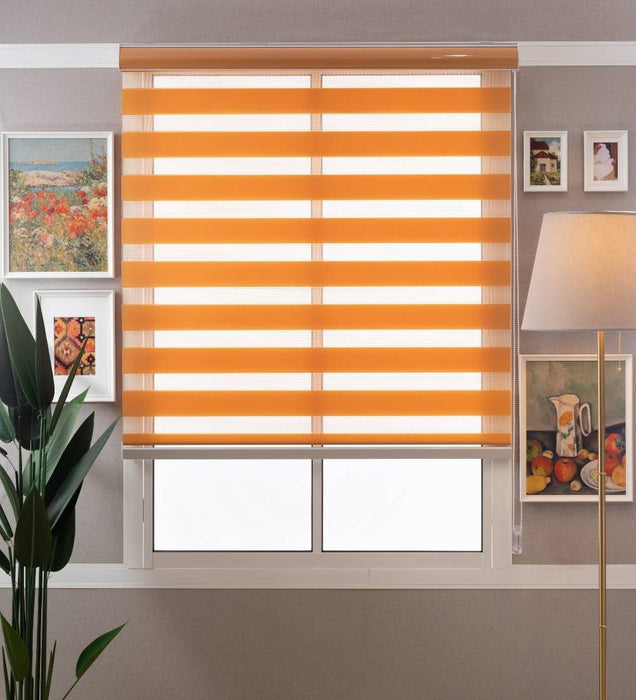 Tisa Signature Light Filtering Zebra Blinds