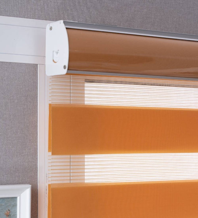 Tisa Signature Light Filtering Zebra Blinds