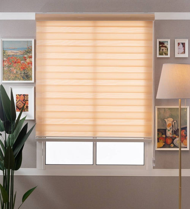 Tisa Signature Light Filtering Zebra Blinds
