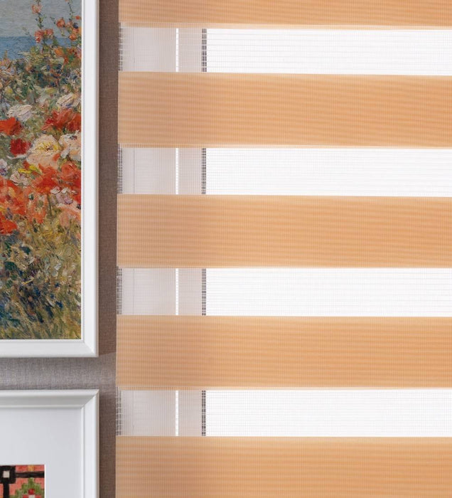 Tisa Signature Light Filtering Zebra Blinds