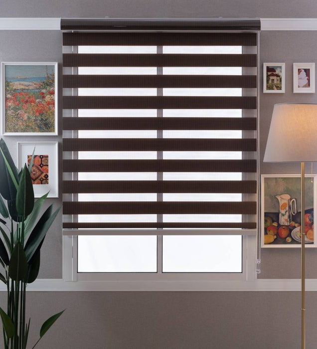 Tisa Signature Light Filtering Zebra Blinds
