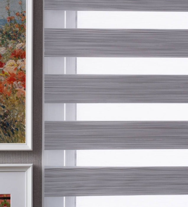 Tarin Classic Light Filtering Zebra Blinds