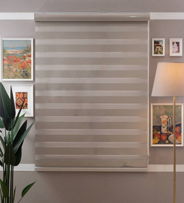 Designer Blackout Zebra Blinds