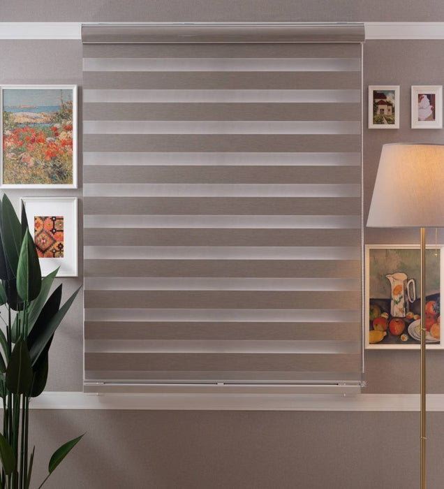 Designer Blackout Zebra Blinds