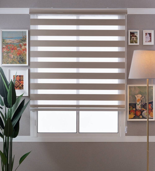 Designer Blackout Zebra Blinds