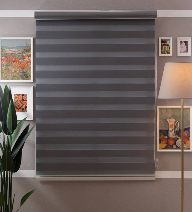 Designer Blackout Zebra Blinds