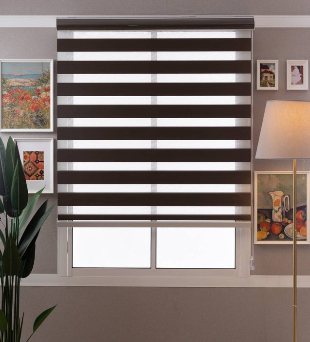 Designer Blackout Zebra Blinds