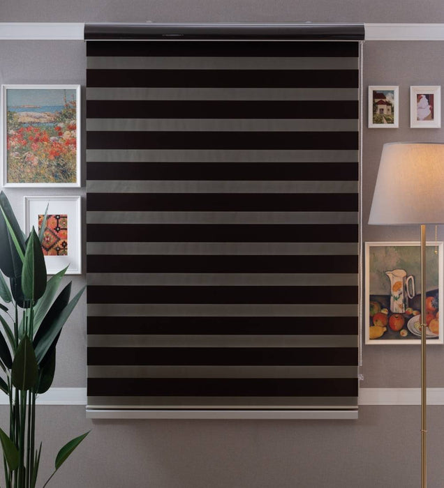 Designer Blackout Zebra Blinds